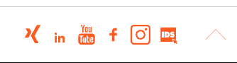 Meisinger Footer Backlink
